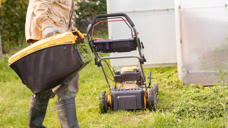 A lawn mower and grass collection bag not attached to a mower.