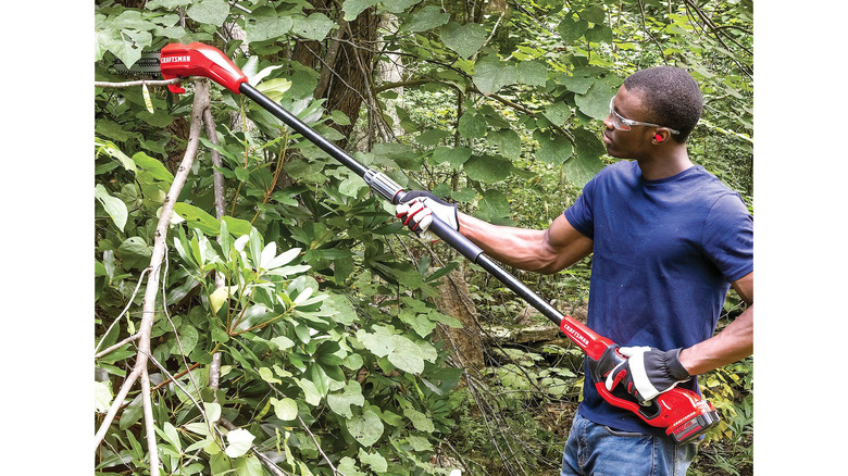 person using Craftsman 20V Max 8-inch Electric Pole Saw