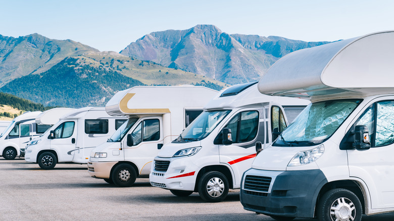 several RVs parked in a row