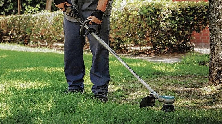 A man trimming grass with the Makita XRU15PT 36V.