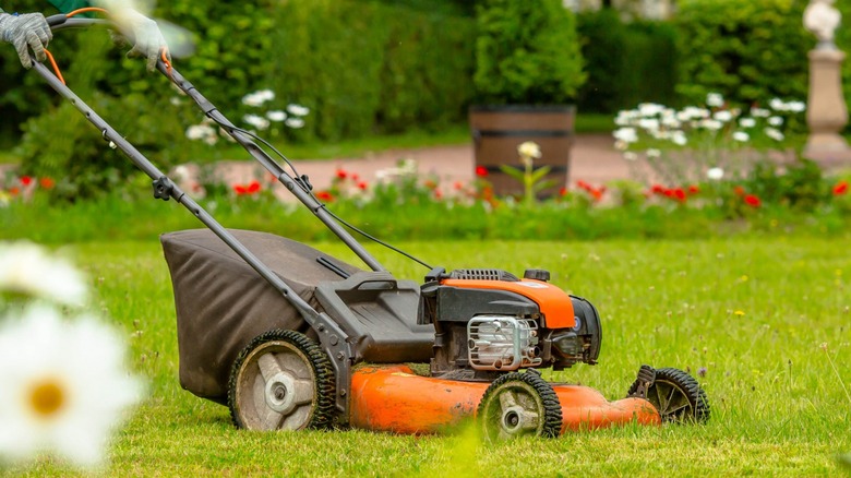 orange push mower on green grass