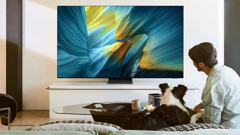 One man and his dog looking at a wall-mounted Samsung S95F TV.