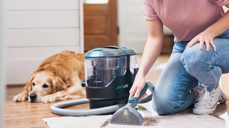 woman using Kenmore SpotLite pet stain remover