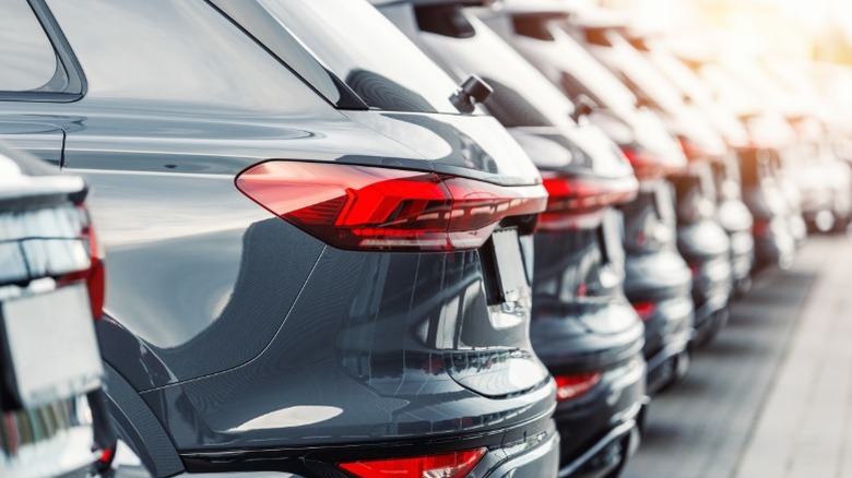 back view of black SUVs lined up