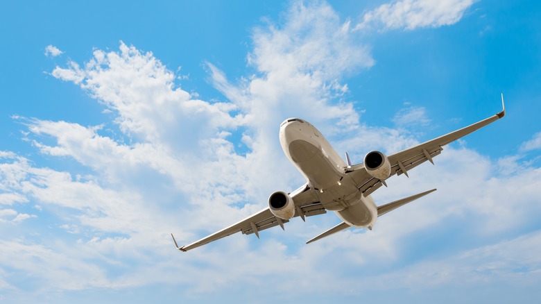 airplane flying in the sky