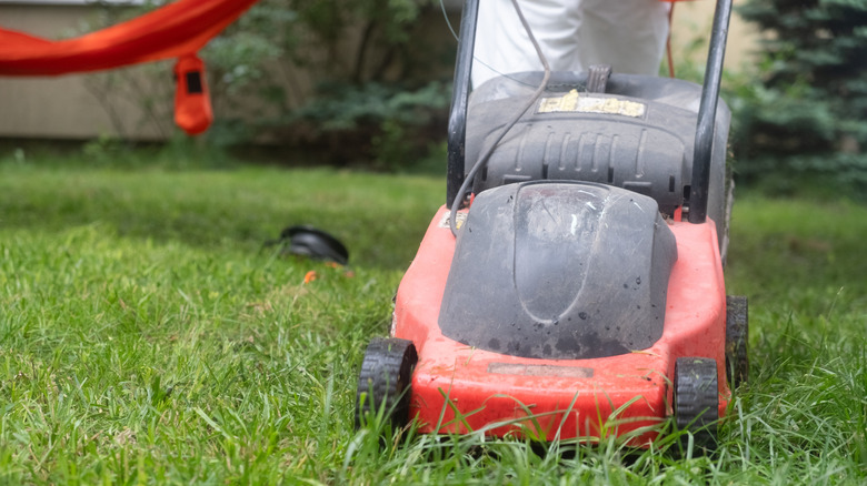 red lawn mower in a garded with a black cord attached to it and a person standing in the background