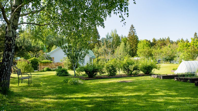 big garden with trees and plants and a white house
