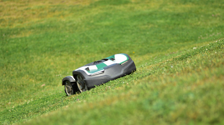 A robot lawn mower going up a grassy hill