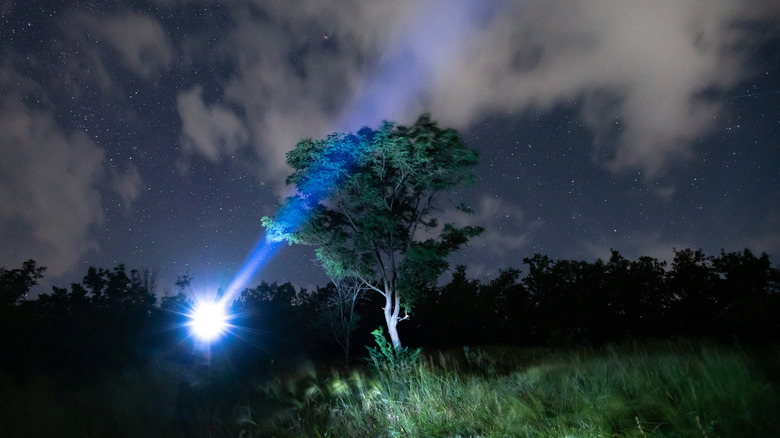 Very bright flashlight in the woods