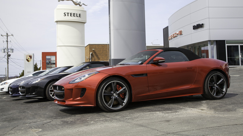 A row of 2014 Jaguar F-Types parked at a dealership