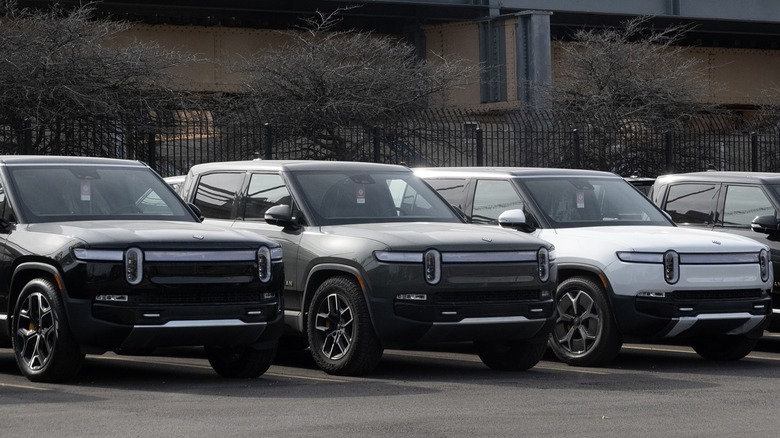 parked Rivian trucks