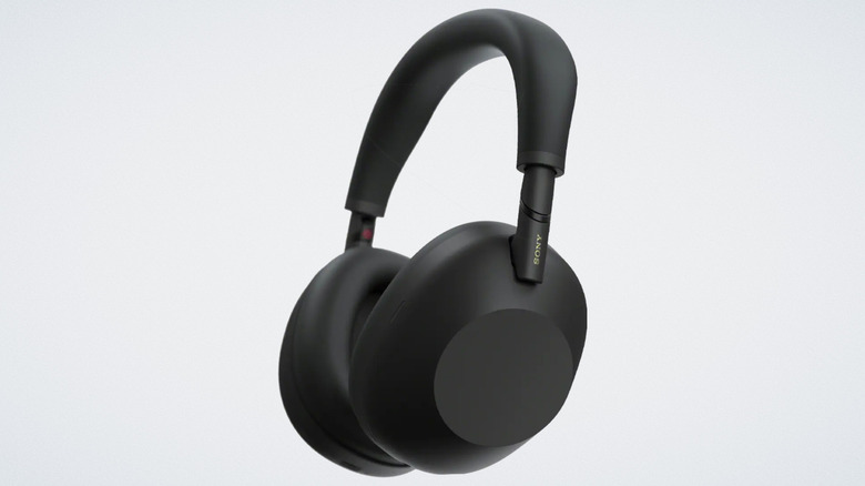 XM6 headphones on white background