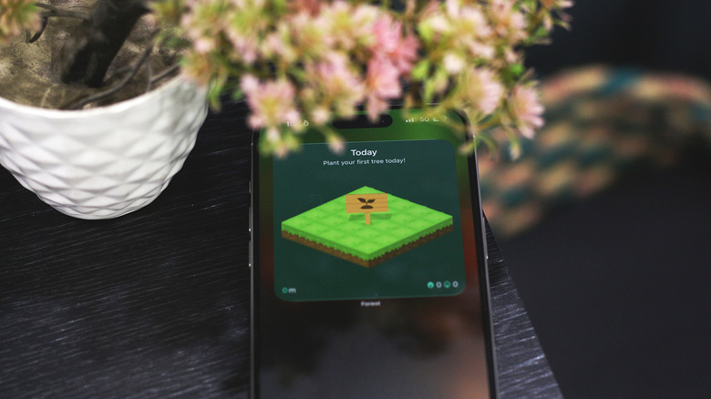 Forest widget on an iPhone home screen