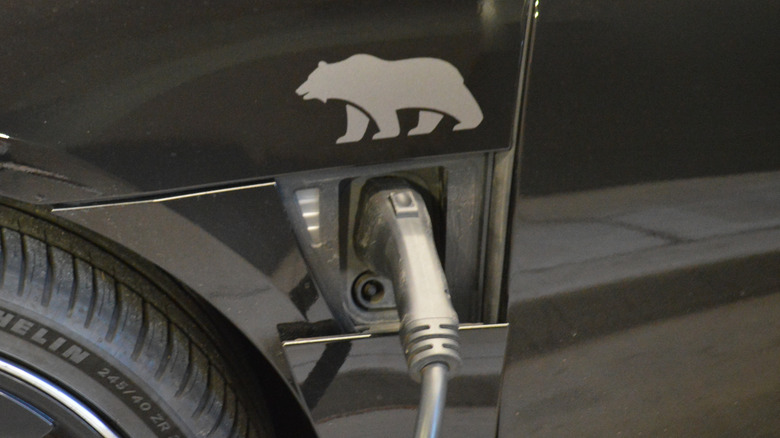 A black Lucid Air plugged in to charge with a bear logo displayed above the charging port