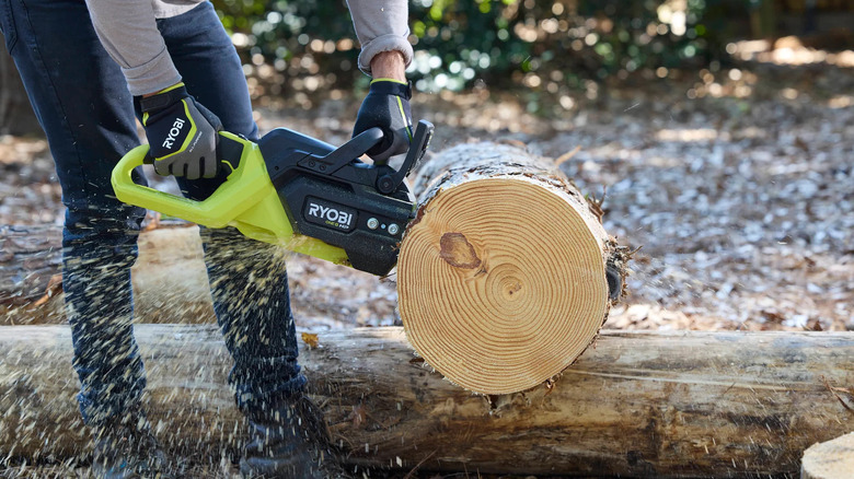Home landscaper using a Ryobi 18V One+ HP 14-inch chainsaw (PBLCW02K)