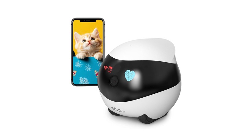 Enabot roving security camera