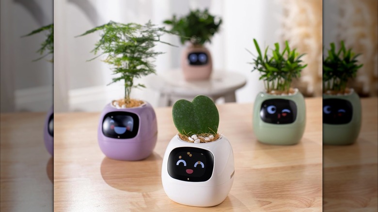 Three PLANTSIO robot planters, one lavender, one white, and one green