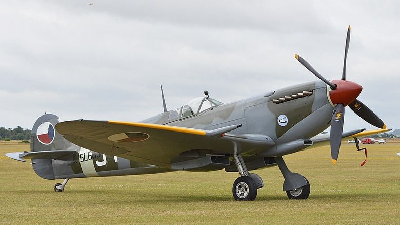 Camoflaged Supermarine Spitfire Mark IVe on grass