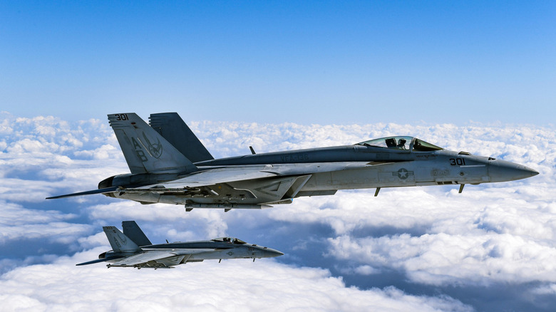Two F/A-18E/F Super Hornets in flight