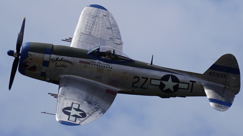The P-47 Thunderbolt "Tallahassee Lassie" flying at an event in Washington in 2019