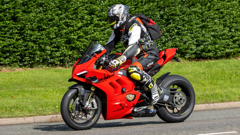 Rider on Ducati Panigale in front of green shrubs