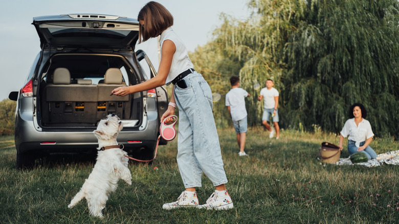A family playing with their white dog in a grassy are near their silver minivan