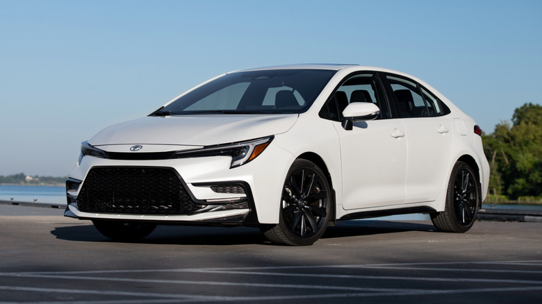 Toyota Corolla parked by the coast