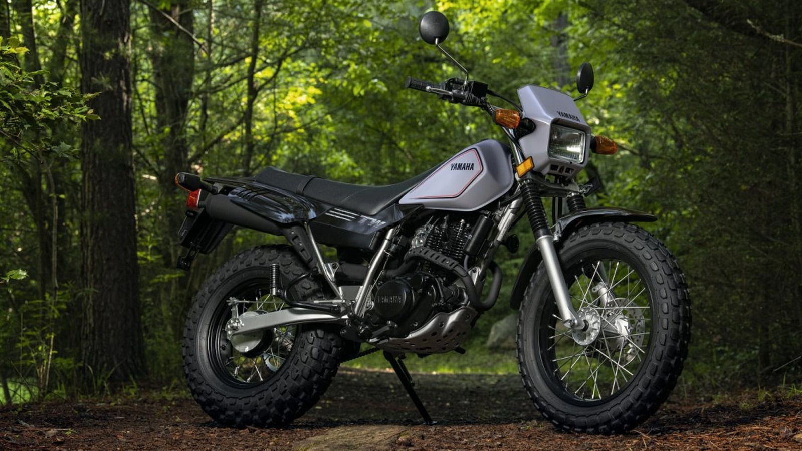5 Of The Most Fuel Efficient Yamaha Motorcycles In 2024 – SlashGear