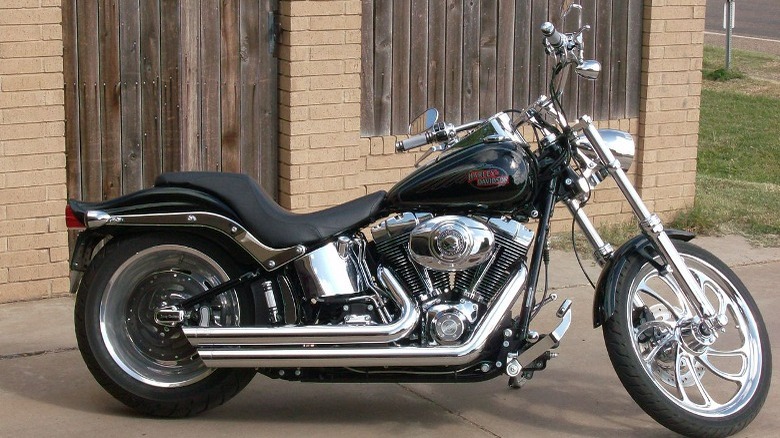 1991 Softail Custom FXSTC