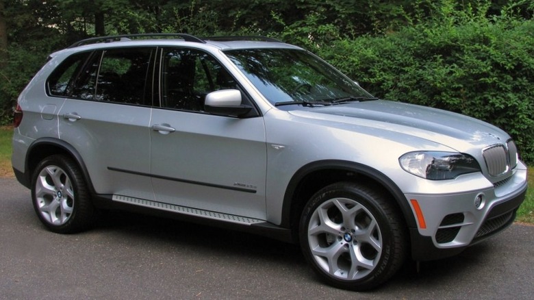 BMW X5 by bushes 