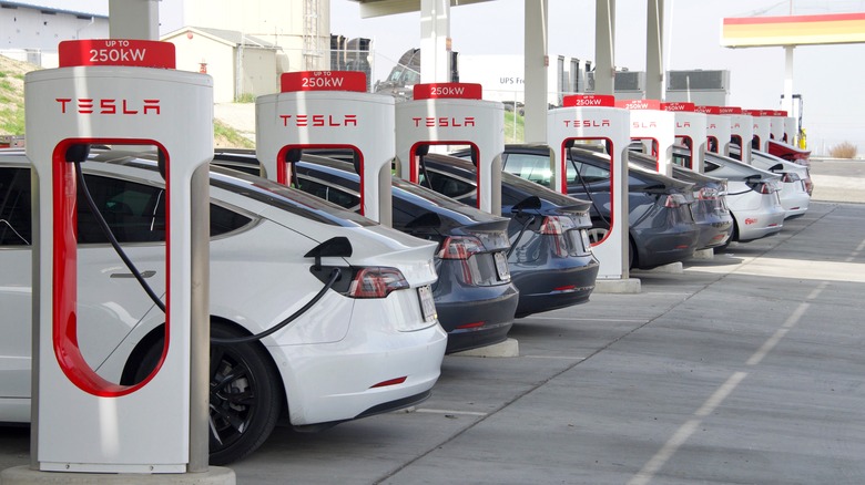 teslas on chargers