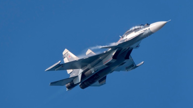 A Sukhoi Su-30 during a demonstration flight