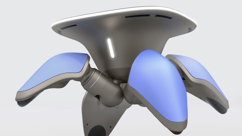 Chibibo on gray background