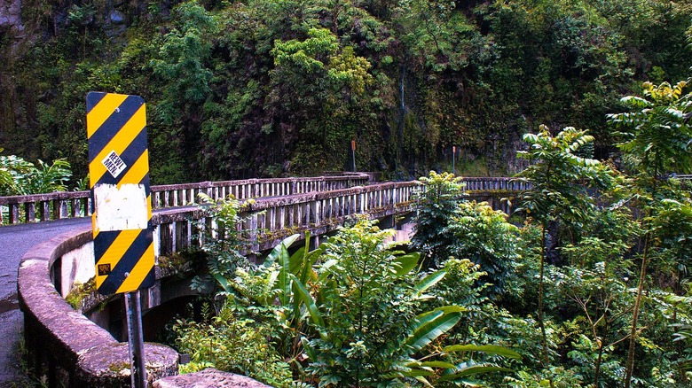 Bridge on the road to Hana