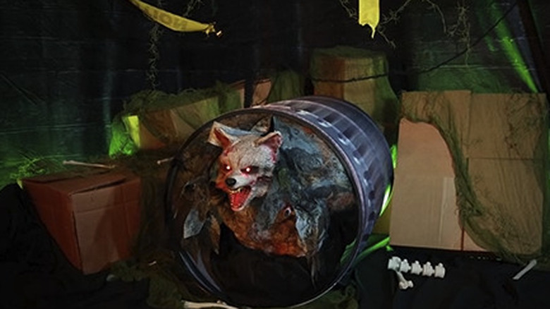 Zombie raccoon animatronic from Tractor Supply