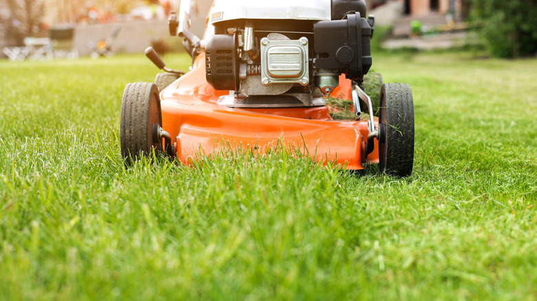 Closeup of an orange and black lawn mower mowing down a green lawn