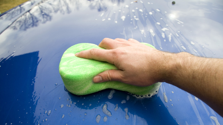Close-up of a man's hand using a green sponge to clean a blue car