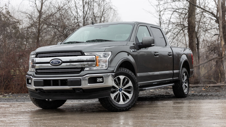 A gray 2019 Ford F-150 pickup truck parked in an autumn setting.