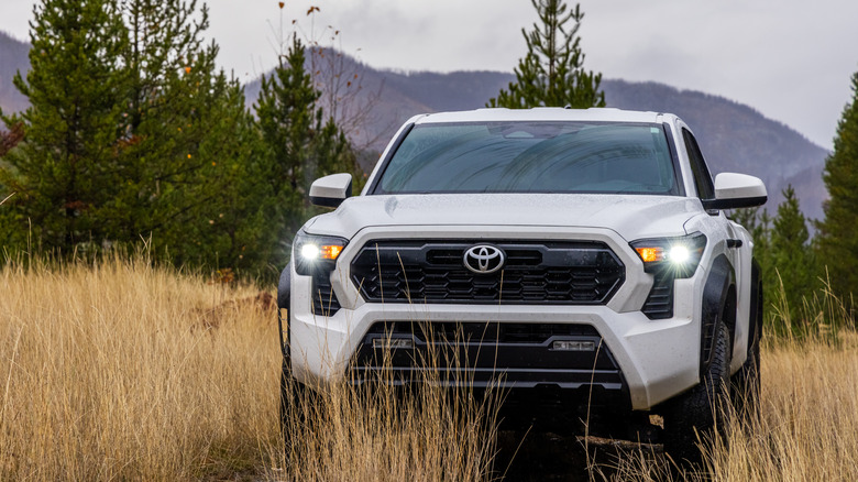 Toyota Tacoma in the wilderness