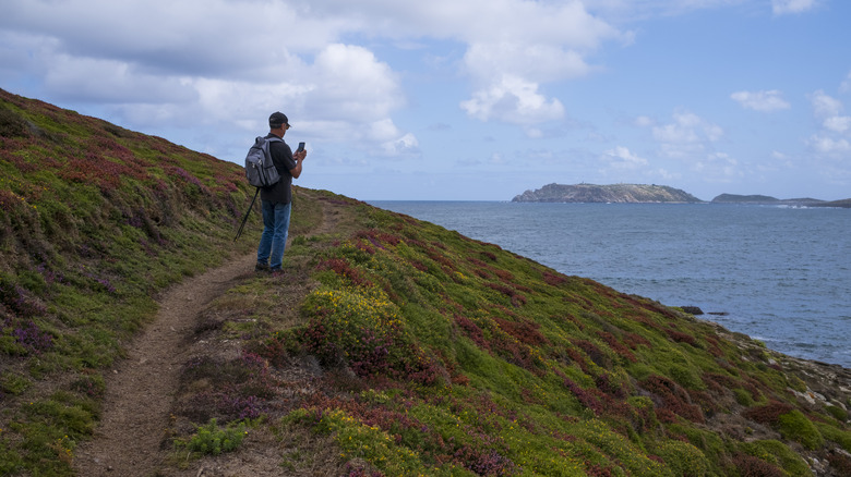 hiker on a cliffside using smartphone 