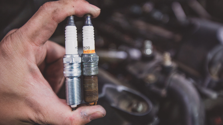 spark plugs in a hand