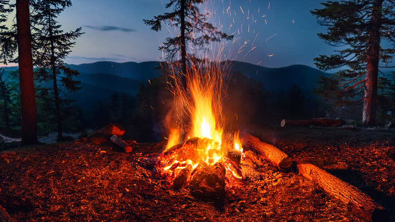 A sparking campfire against a wooded backdrop at dusk with mountains in the background