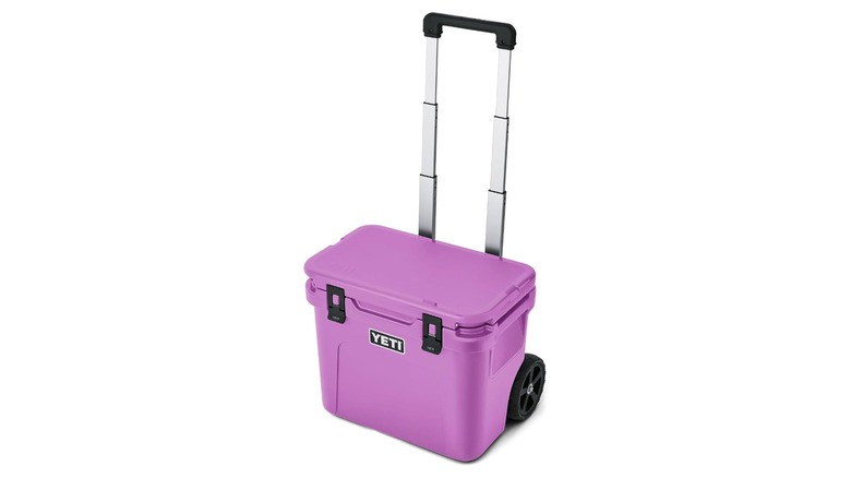 Purple cooler on wheels with a telescoping handle against a white background