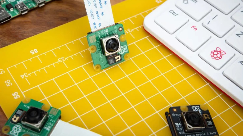 A few Raspberry Pis set up with cameras.