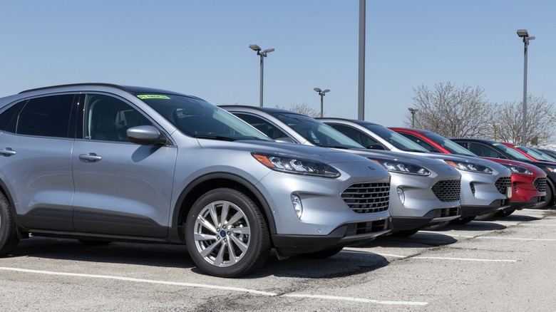 Row of Ford Escape cars