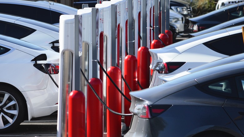 Row of EVs charging