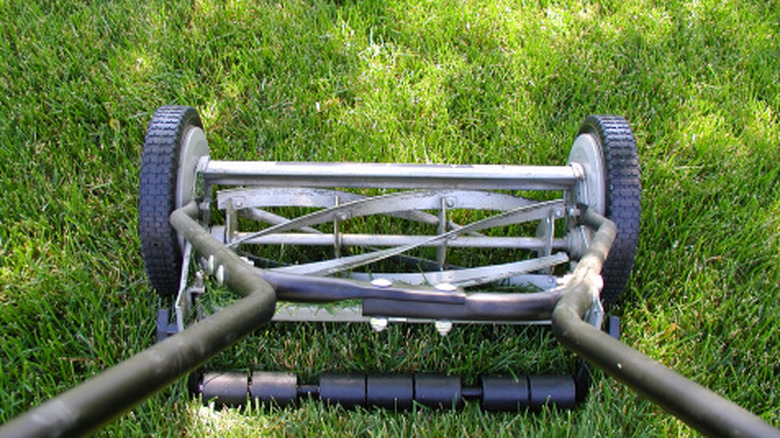 A reel mower viewed from above.