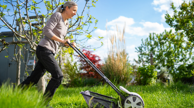 A woman surrounded by greenery pushing a reel mower.