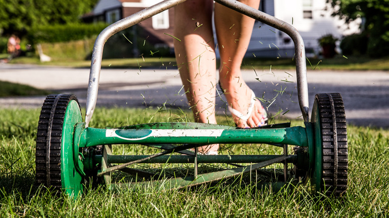 A person in flip-flops pushing a reel mower.