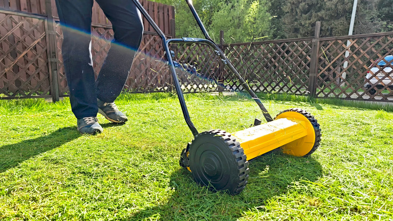 A person pushing a reel mower on a sunny day.